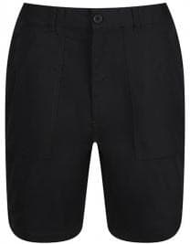 Chino Shorts