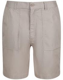 Chino Shorts