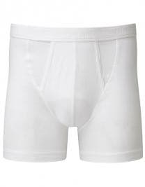 Kalsong Boxer